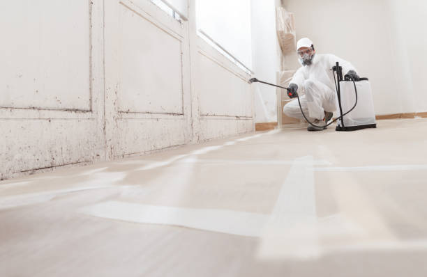 24/7 Emergency Crawl Space Mold Remediation experts in Marietta, GA