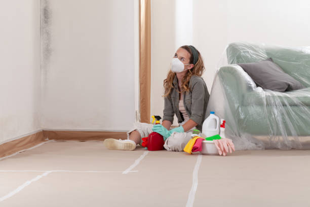 Reliable Crawl Space Mold Remediation contractor in Marietta, GA by 24 Hour Mold Removal