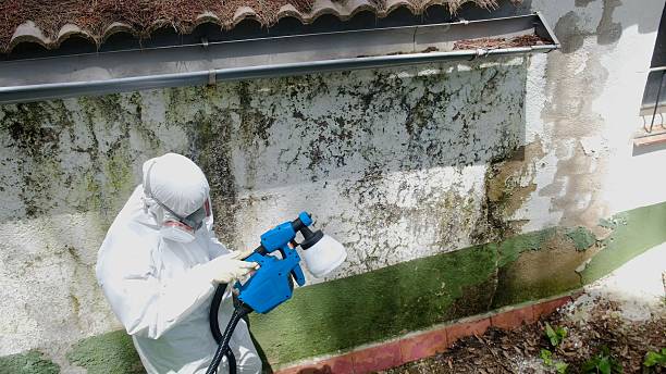Top rated local Crawl Space Mold Remediation specialists in Marietta, GA